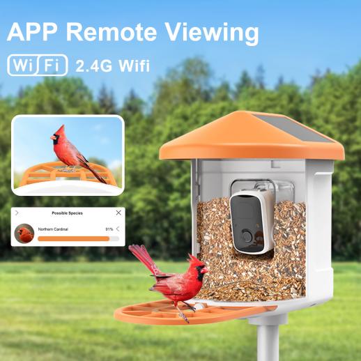 KENTFAITH GW62.0001 Smart 1080P Solar Bird Feeder Camera