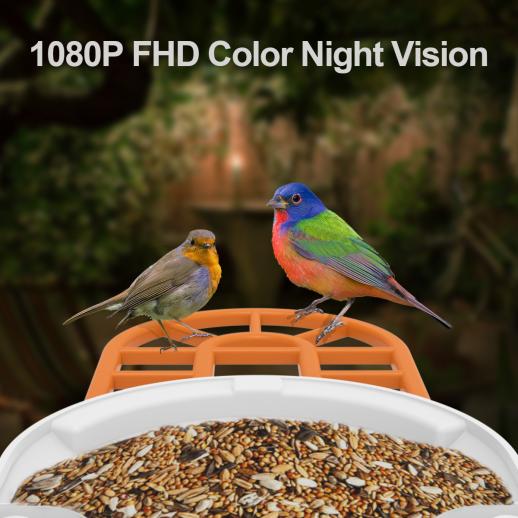 KENTFAITH GW62.0001 Smart 1080P Solar Bird Feeder Camera