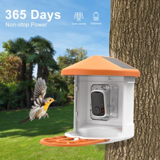 KENTFAITH GW62.0001 Smart 1080P Solar Bird Feeder Camera